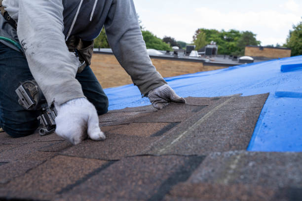 Residential Roof Replacement in Cicero, IL